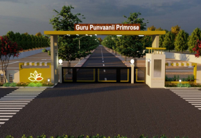 Guru Punvaanii Primrose